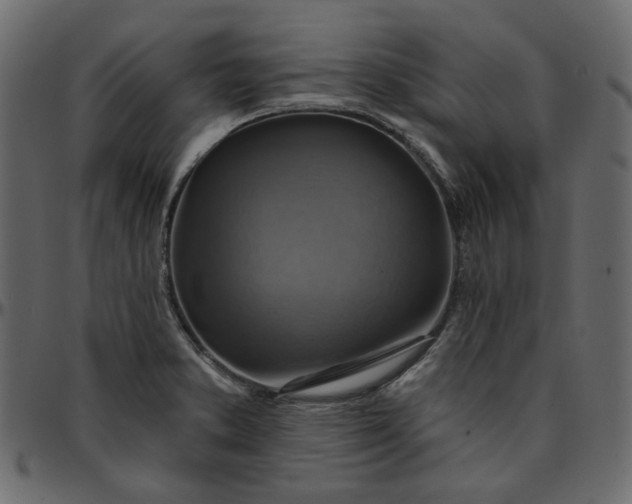 X0000095681373200801221217