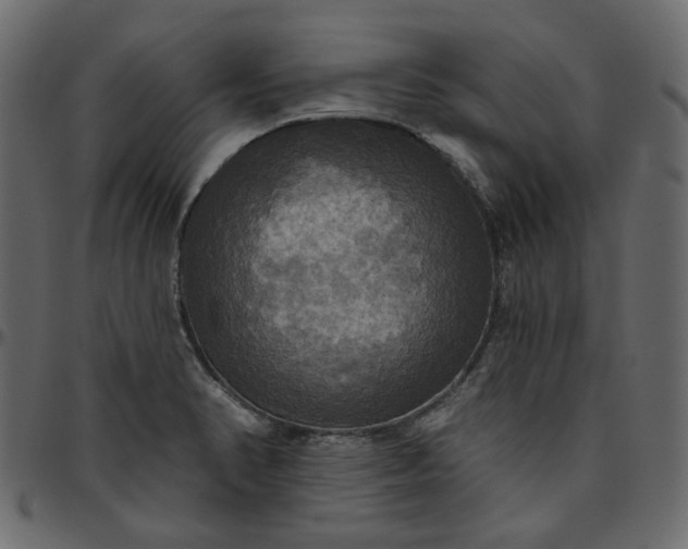 X0000095681374200801221217