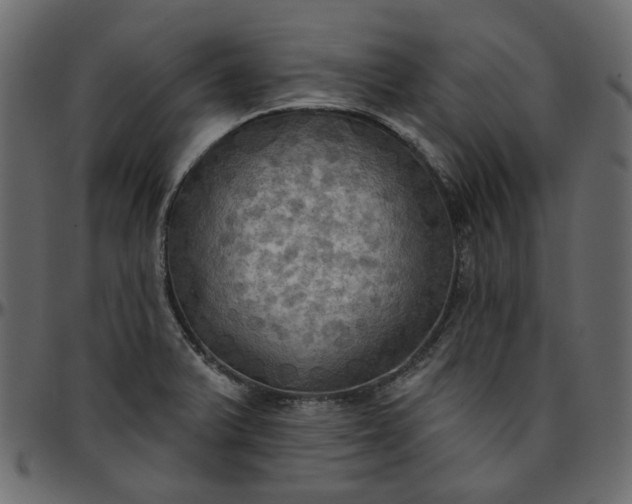X0000095681375200801221217