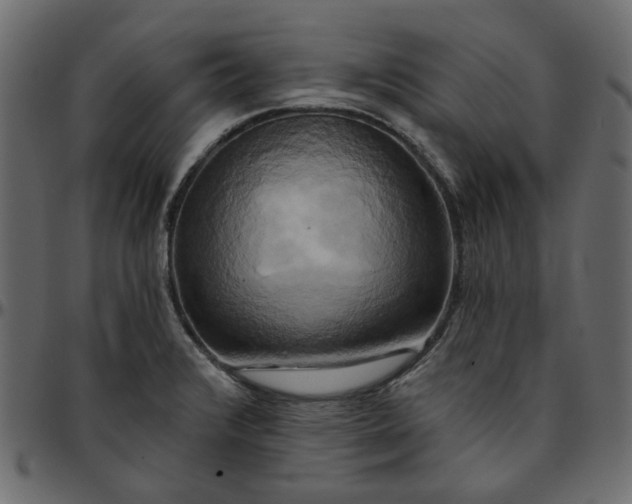 X0000095681376200801221217