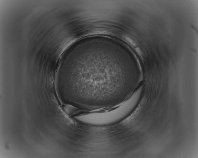 X0000095681377200801221217
