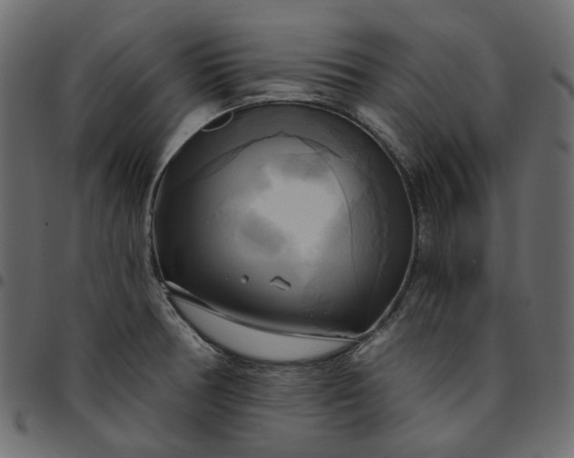 X0000095681378200801221217