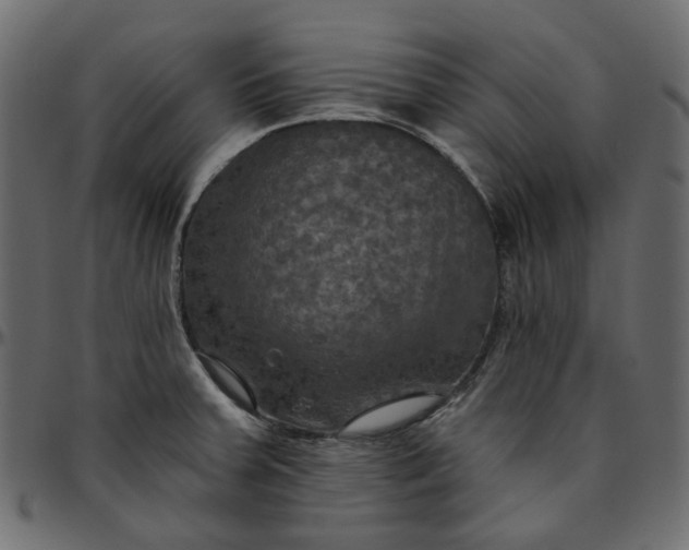 X0000095681379200801221216