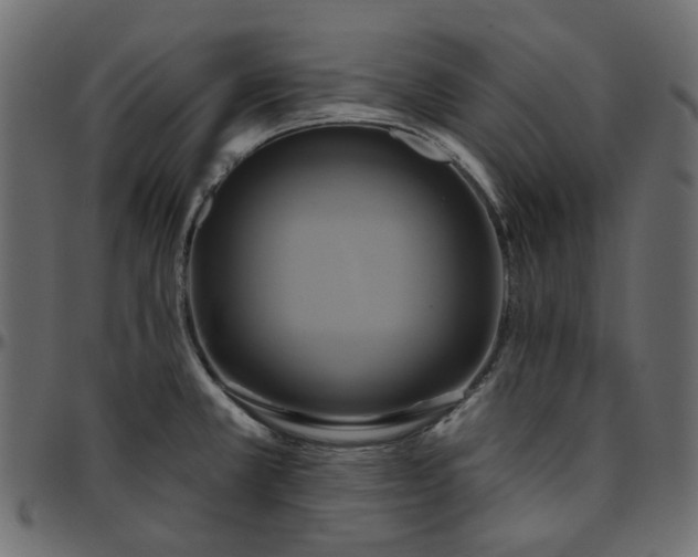 X0000095681381200801221216