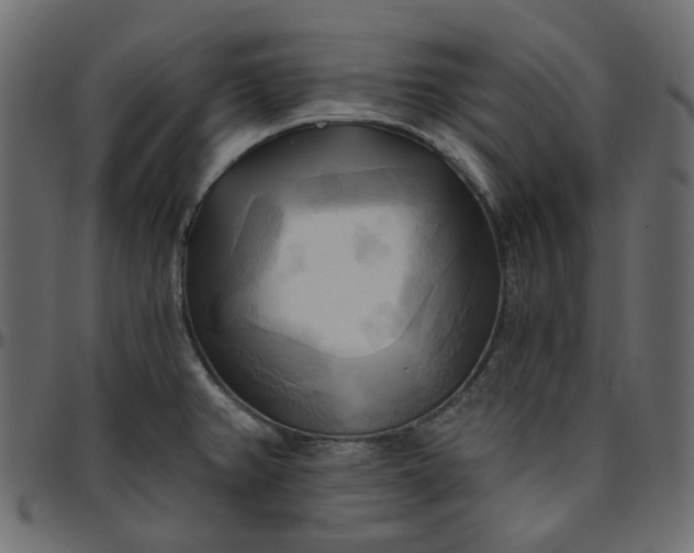 X0000095681382200801221216