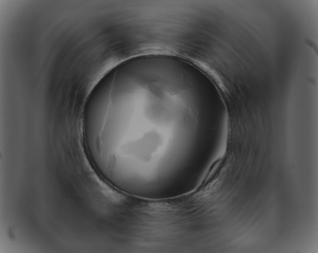 X0000095681383200801221216