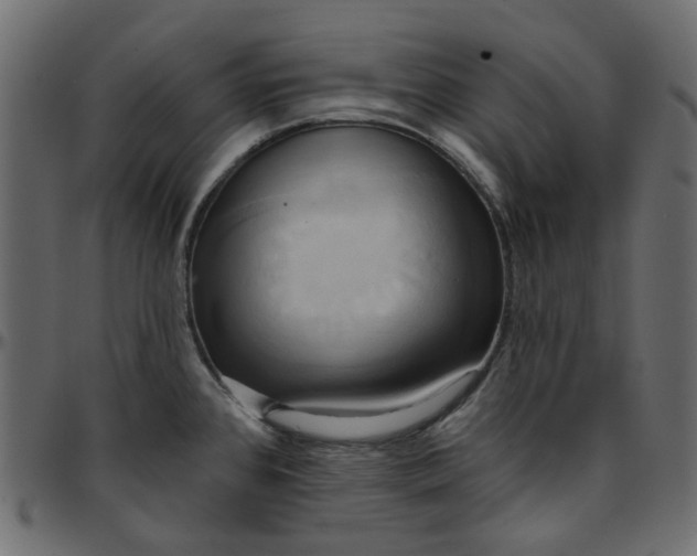 X0000095681384200801221216