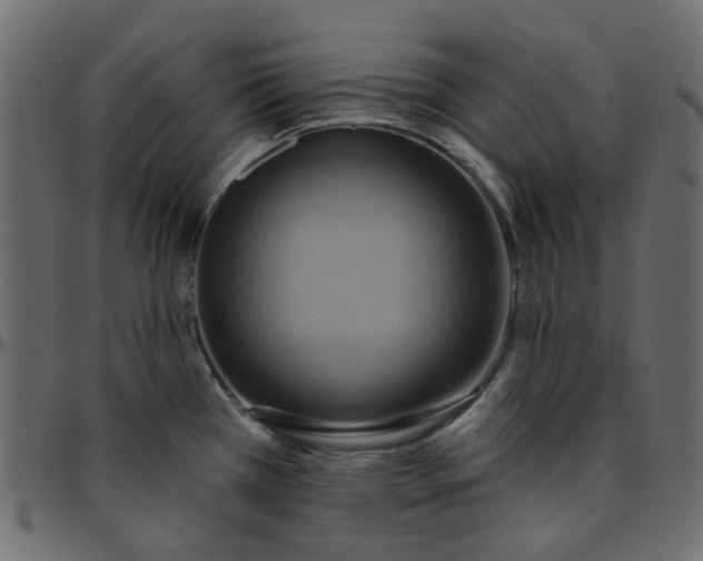 X0000095681385200801221216