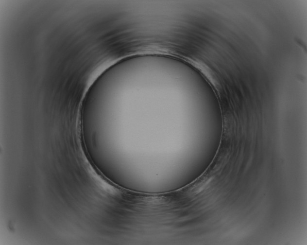 X0000095681387200801221216