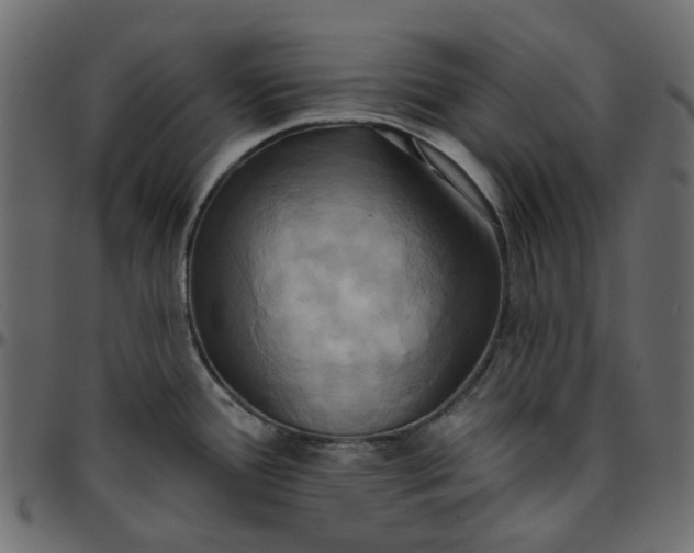 X0000095681388200801221216