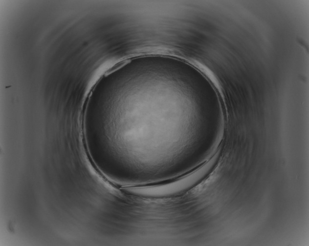X0000095681389200801221216