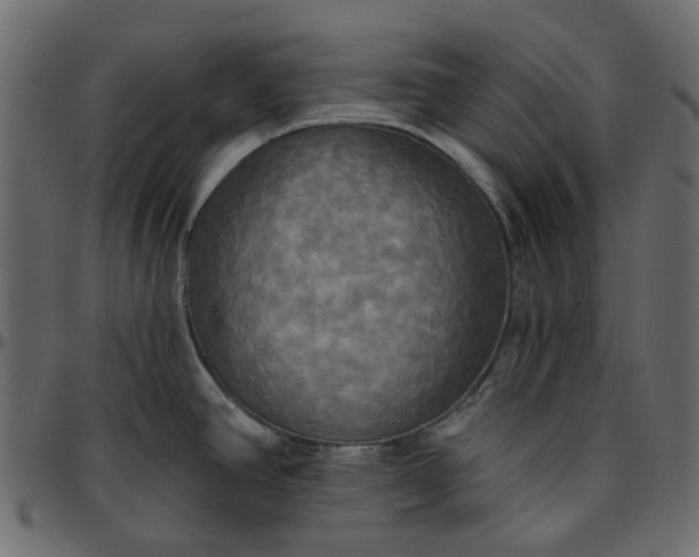 X0000095681390200801221216
