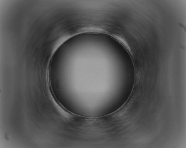 X0000095681391200801221216