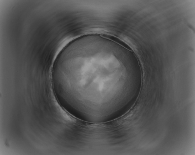 X0000095681392200801221216