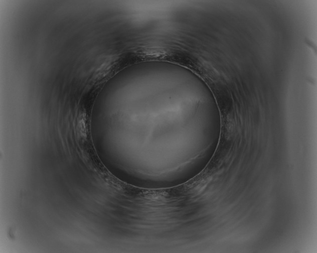 X0000095681394200801221216