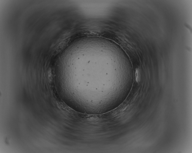 X0000095681395200801221216