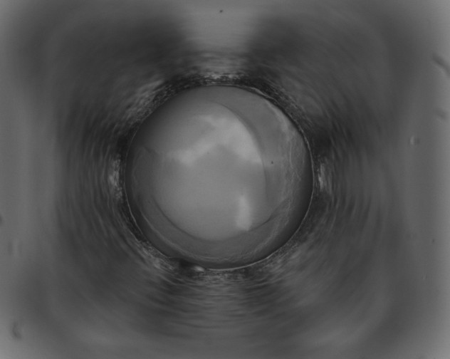 X0000095681396200801221216