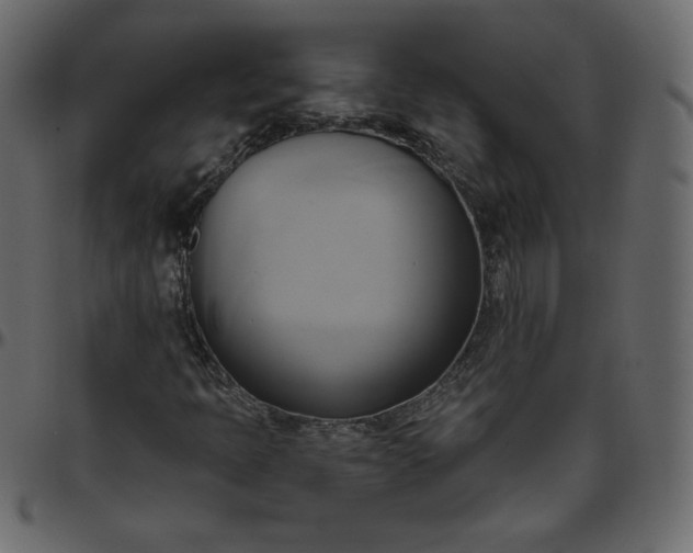 X0000095681397200801221216