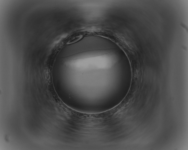 X0000095681398200801221216