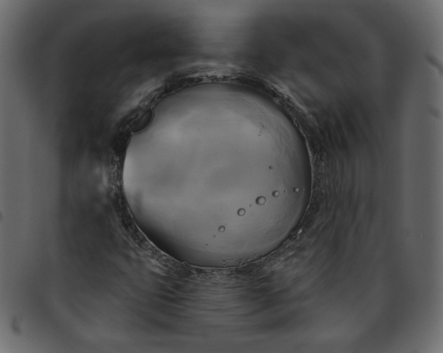 X0000095681399200801221216