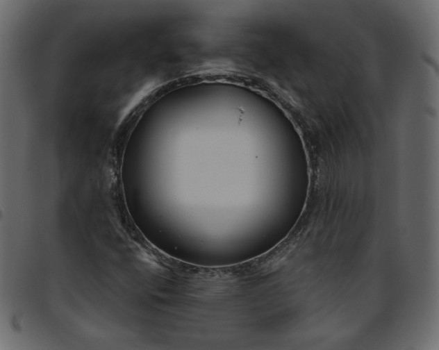 X0000095681400200801221216