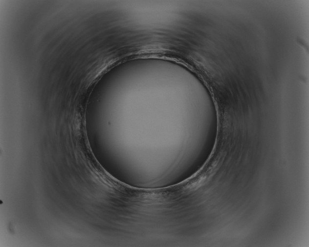 X0000095681401200801221216