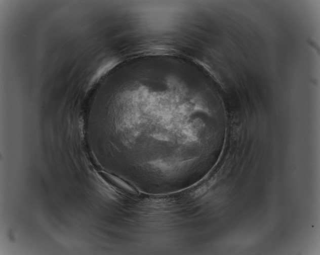 X0000095681402200801221216