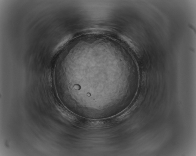 X0000095681403200801221216