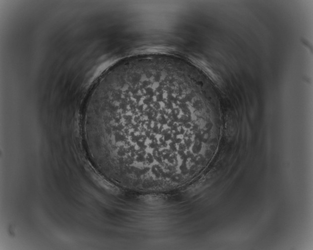 X0000095681404200801221216