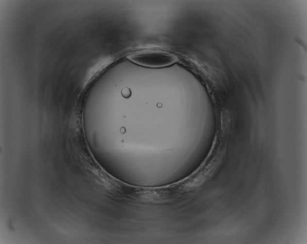 X0000095681405200801221216