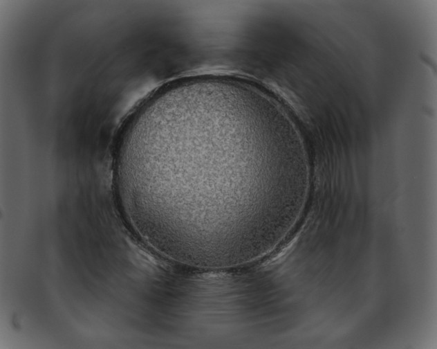 X0000095681406200801221216