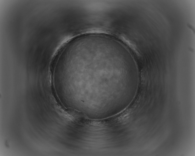 X0000095681408200801221216