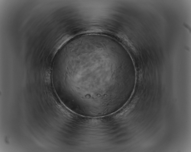 X0000095681409200801221216