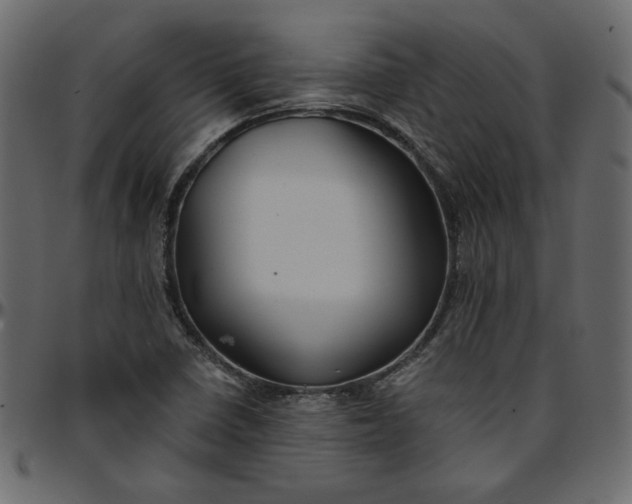 X0000095681410200801221216
