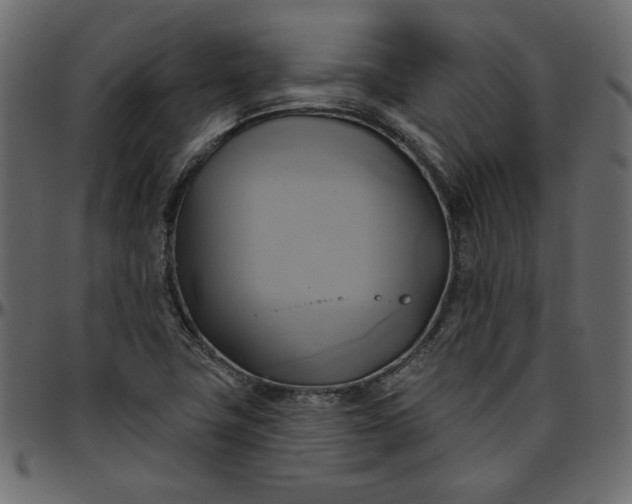 X0000095681411200801221216