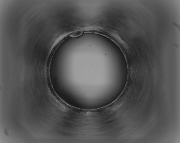 X0000095681412200801221216