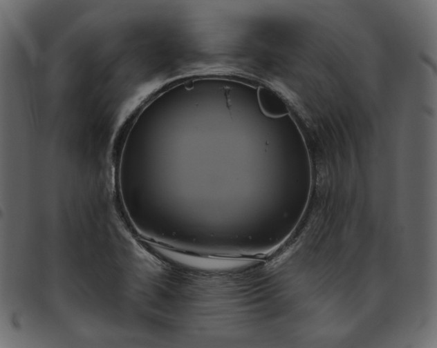 X0000095681414200801221216