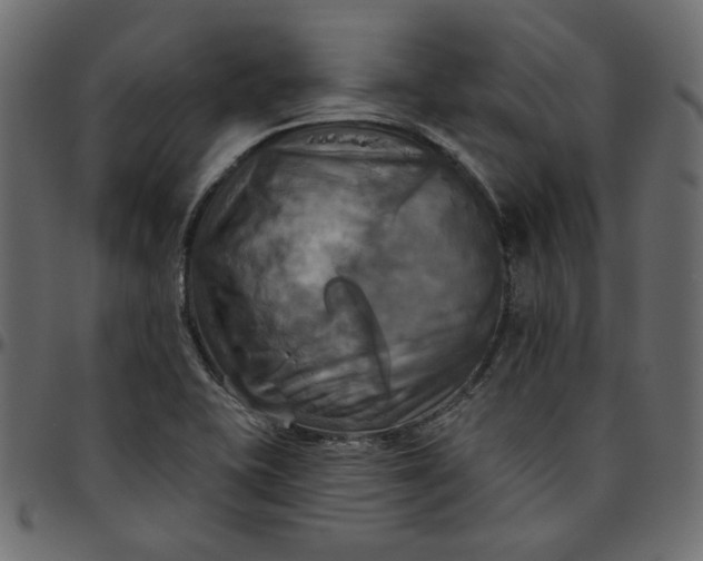 X0000095681415200801221216