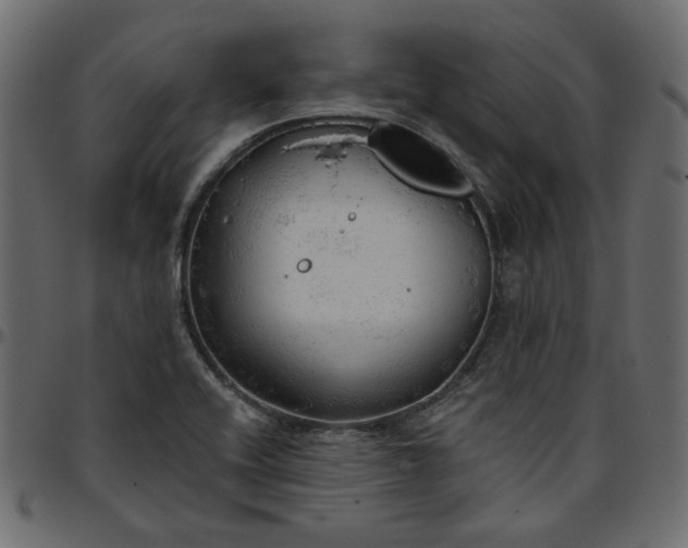 X0000095681416200801221216