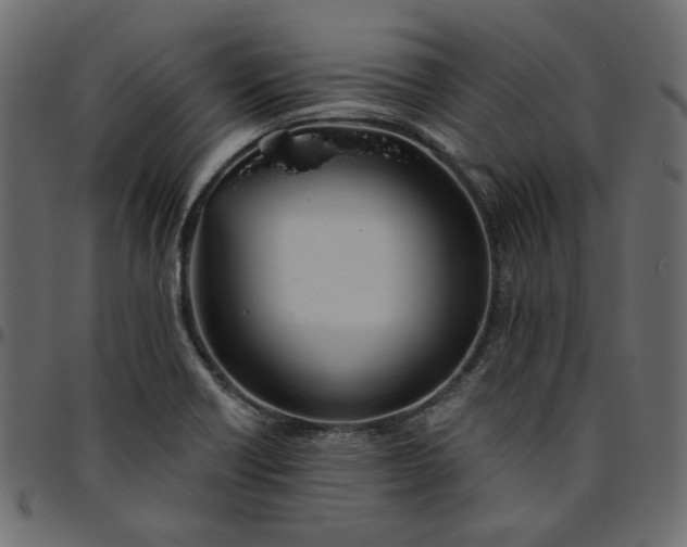 X0000095681418200801221216
