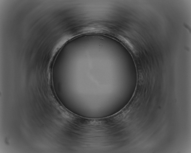 X0000095681419200801221216