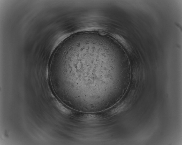 X0000095681420200801221216