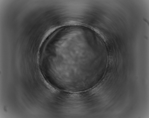 X0000095681421200801221216