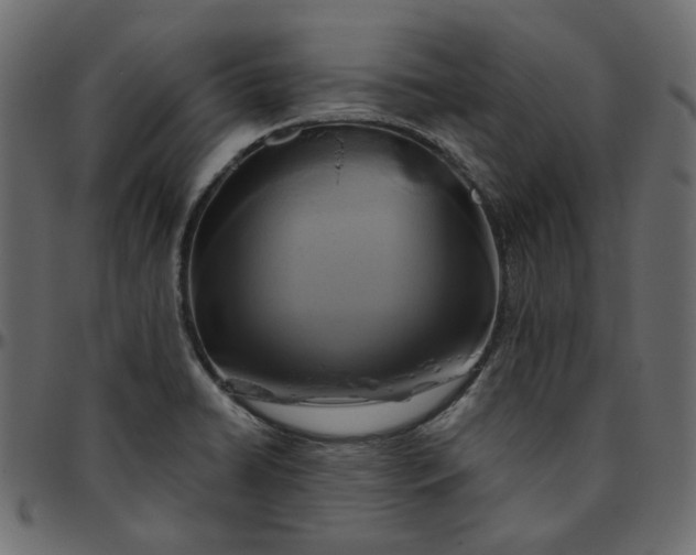 X0000095681422200801221216