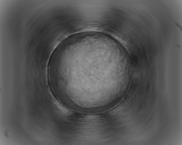 X0000095681423200801221216