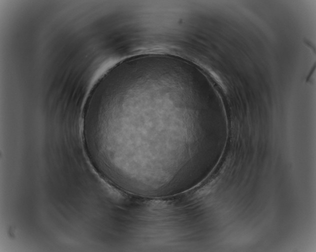 X0000095681424200801221216