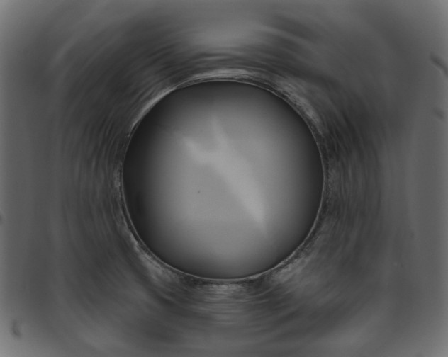 X0000095681425200801221216
