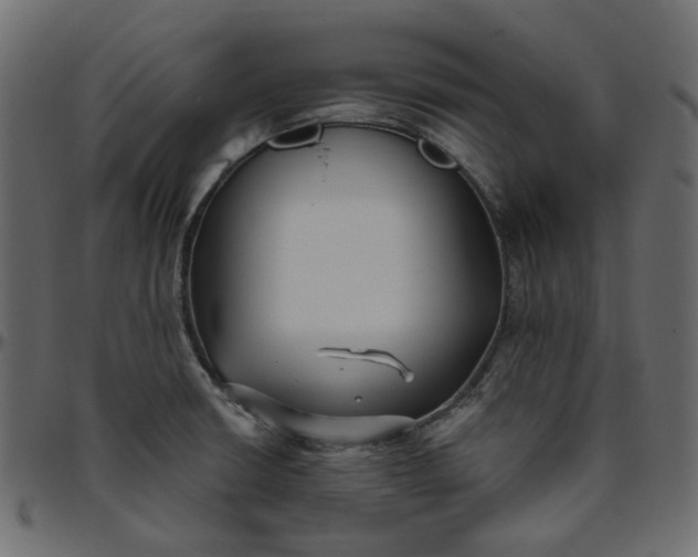 X0000095681426200801221216