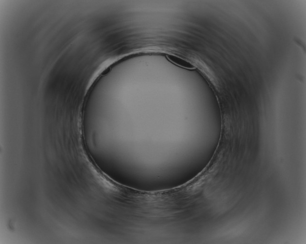 X0000095681428200801221216