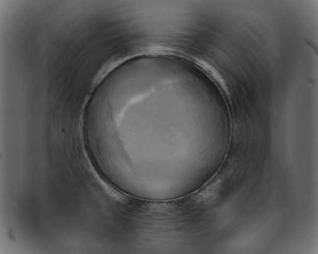 X0000095681429200801221216
